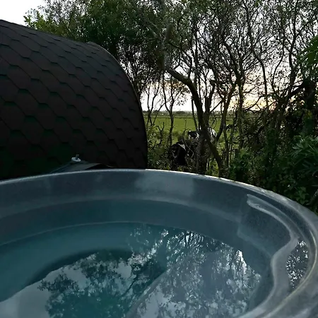 Le Petit - La Nouvelle Histoire Дом отдыха *